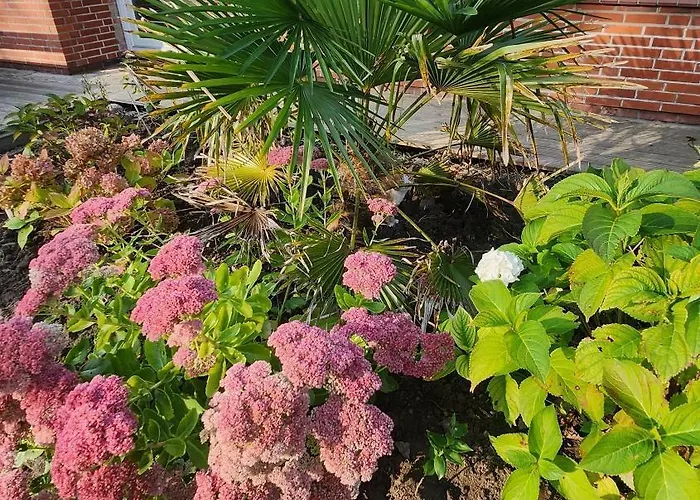 Hol Di! Appartamento *